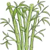 Bamboo